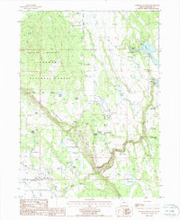 Download a high-resolution, GPS-compatible USGS topo map for Goodlow Mountain, OR (1988 edition)