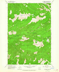 Download a high-resolution, GPS-compatible USGS topo map for Government Camp, OR (1964 edition)