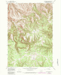 Download a high-resolution, GPS-compatible USGS topo map for Granite Meadows, OR (1984 edition)