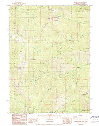Download a high-resolution, GPS-compatible USGS topo map for Grayback Mountain, OR (1987 edition)