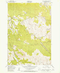Download a high-resolution, GPS-compatible USGS topo map for Green Mountain, OR (1955 edition)