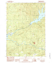 preview thumbnail of historical topo map of Linn County, OR in 1984