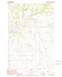 Download a high-resolution, GPS-compatible USGS topo map for Greenwood%20Butte, OR (1990 edition)
