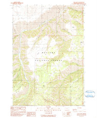 Download a high-resolution, GPS-compatible USGS topo map for Harl Butte, OR (1990 edition)