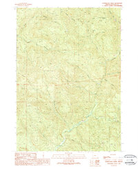 preview thumbnail of historical topo map of Douglas County, OR in 1989