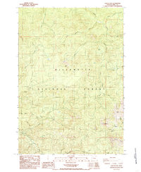 Download a high-resolution, GPS-compatible USGS topo map for Harter Mtn, OR (1985 edition)