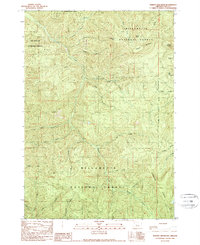 Download a high-resolution, GPS-compatible USGS topo map for Harvey Mountain, OR (1989 edition)