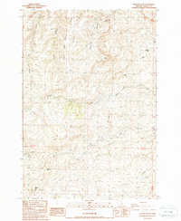 Download a high-resolution, GPS-compatible USGS topo map for Hastings Peak, OR (1988 edition)