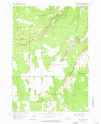 Download a high-resolution, GPS-compatible USGS topo map for Henkle Butte, OR (1975 edition)