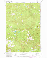Download a high-resolution, GPS-compatible USGS topo map for Hickman Butte, OR (1980 edition)