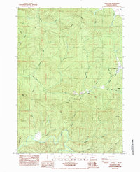 Download a high-resolution, GPS-compatible USGS topo map for High Point, OR (1984 edition)