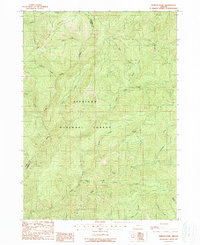 Download a high-resolution, GPS-compatible USGS topo map for Hobson Horn, OR (1989 edition)