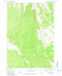 Download a high-resolution, GPS-compatible USGS topo map for Holmes Canyon, OR (1982 edition)