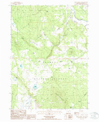 Download a high-resolution, GPS-compatible USGS topo map for Horsefly Mountain, OR (1988 edition)
