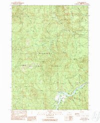 Download a high-resolution, GPS-compatible USGS topo map for Illahe, OR (1989 edition)