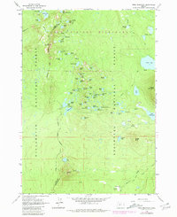 Download a high-resolution, GPS-compatible USGS topo map for Irish Mountain, OR (1981 edition)