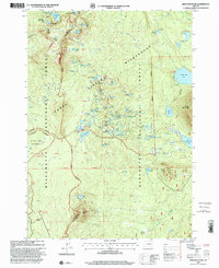 Download a high-resolution, GPS-compatible USGS topo map for Irish Mountain, OR (2001 edition)