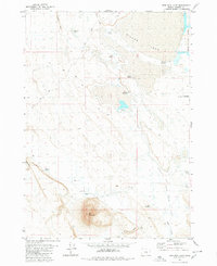 Download a high-resolution, GPS-compatible USGS topo map for Iron Mtn Flat, OR (1980 edition)