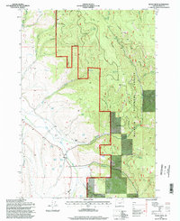 Download a high-resolution, GPS-compatible USGS topo map for Isham Creek, OR (1998 edition)