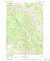 Download a high-resolution, GPS-compatible USGS topo map for Jim White Ridge, OR (1985 edition)