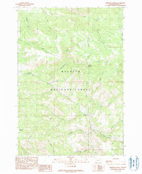 Download a high-resolution, GPS-compatible USGS topo map for Johnson Saddle, OR (1990 edition)