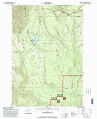 preview thumbnail of historical topo map of Union County, OR in 1995