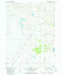 Download a high-resolution, GPS-compatible USGS topo map for Juniper Point, OR (1980 edition)