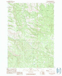 Download a high-resolution, GPS-compatible USGS topo map for Keeney Point, OR (1990 edition)