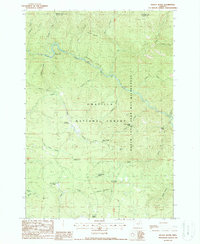 Download a high-resolution, GPS-compatible USGS topo map for Kelsay Butte, OR (1988 edition)