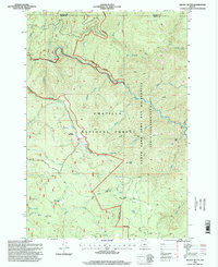Download a high-resolution, GPS-compatible USGS topo map for Kelsay Butte, OR (1998 edition)