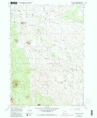 Download a high-resolution, GPS-compatible USGS topo map for Kelsey Butte, OR (1981 edition)