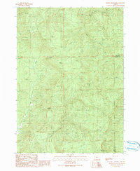 Download a high-resolution, GPS-compatible USGS topo map for Kenyon Mountain, OR (1990 edition)