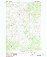 Download a high-resolution, GPS-compatible USGS topo map for Keyes Mtn, OR (1988 edition)