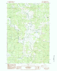 Download a high-resolution, GPS-compatible USGS topo map for Kings Valley, OR (1984 edition)