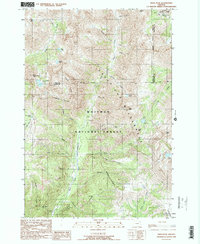 Download a high-resolution, GPS-compatible USGS topo map for Krag Peak, OR (1990 edition)