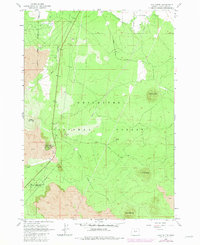 Download a high-resolution, GPS-compatible USGS topo map for Lava Butte, OR (1981 edition)