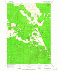 Download a high-resolution, GPS-compatible USGS topo map for Lava Cast Forest, OR (1964 edition)