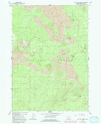 Download a high-resolution, GPS-compatible USGS topo map for Lava Cast Forest, OR (1981 edition)