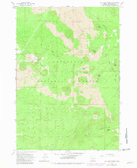 Download a high-resolution, GPS-compatible USGS topo map for Lava Cast Forest, OR (1992 edition)