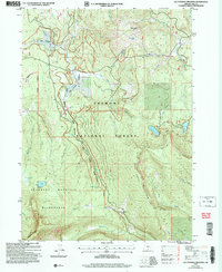 Download a high-resolution, GPS-compatible USGS topo map for Lee Thomas Crossing, OR (2007 edition)