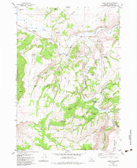 Download a high-resolution, GPS-compatible USGS topo map for Liggett Table, OR (1983 edition)