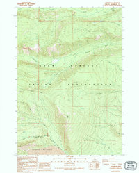 Download a high-resolution, GPS-compatible USGS topo map for Lionshead, OR (1994 edition)