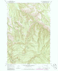 Download a high-resolution, GPS-compatible USGS topo map for Little Beaver Creek, OR (1985 edition)