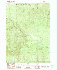 Download a high-resolution, GPS-compatible USGS topo map for Little Chinquapin Mtn, OR (1988 edition)
