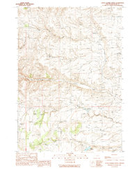 Download a high-resolution, GPS-compatible USGS topo map for Little Juniper Spring, OR (1990 edition)