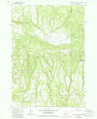 Download a high-resolution, GPS-compatible USGS topo map for Little Summit Prairie, OR (1985 edition)