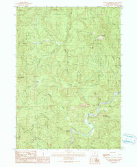 Download a high-resolution, GPS-compatible USGS topo map for Live Oak Mountain, OR (1990 edition)