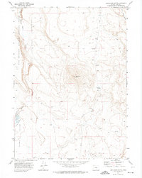Download a high-resolution, GPS-compatible USGS topo map for Lone Grave Butte, OR (1974 edition)