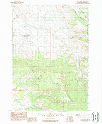 Download a high-resolution, GPS-compatible USGS topo map for Long Creek, OR (1990 edition)