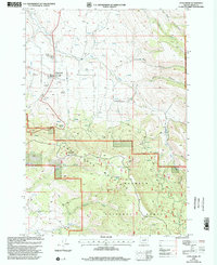 Download a high-resolution, GPS-compatible USGS topo map for Long Creek, OR (2002 edition)